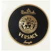 Versace & Rosenthal : Service ” Jungle ” 108 p 18