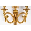 Suite de cinq appliques de style Louis XVI. 11