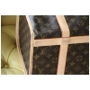 Louis Vuitton Sac Chien 40 cm 30