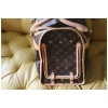 Louis Vuitton Sac Chien 40 cm 36