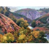 SMITH Alfred Vallée de la Creuse en automne Huile sur toile signée certificat 20