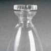 1930 René Lalique – Carafe Art Déco Modèle Inconnu Verre Blanc 10