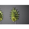 Paire d’appliques de style Barovier en verre de Murano vert olive avec feuilles et laiton 20