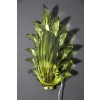 Paire d’appliques de style Barovier en verre de Murano vert olive avec feuilles et laiton 21