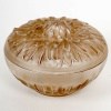 1911 René Lalique – Boîte Chrysanthème Verre Blanc Patiné Sépia 10