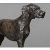 Sculpture – Chien Braque , Christophe Fratin (1801-1864) – Bronze 15