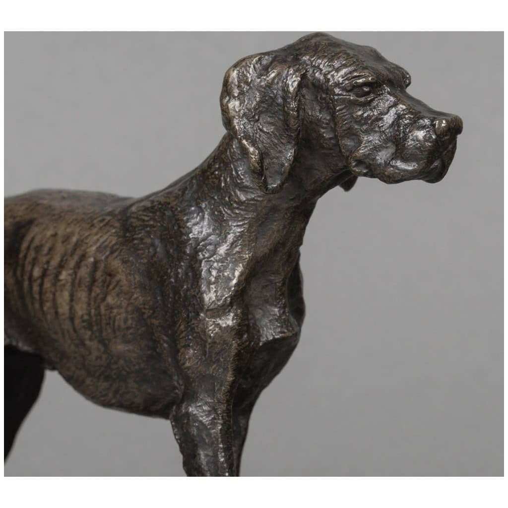 Sculpture – Chien Braque , Christophe Fratin (1801-1864) – Bronze 7