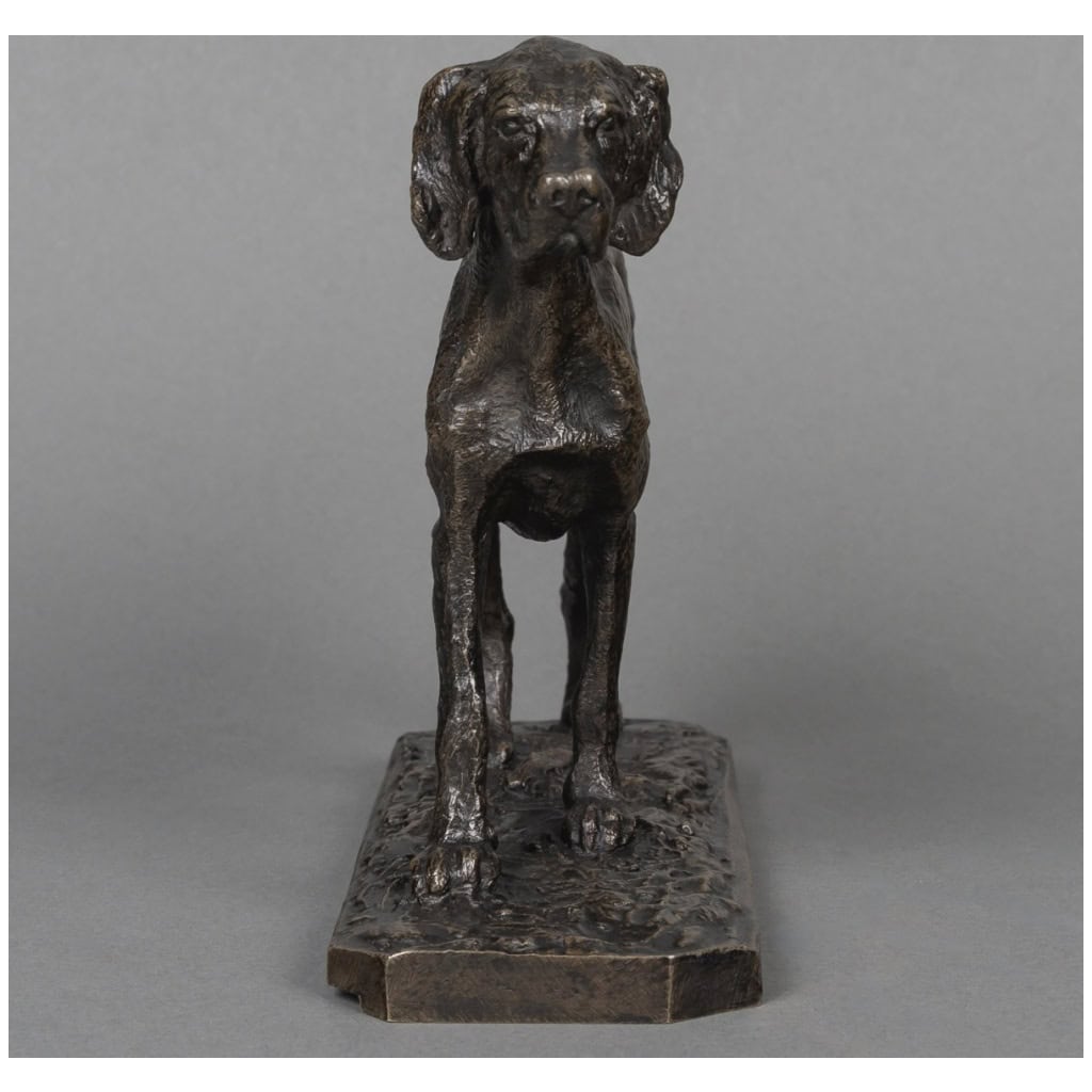 Sculpture – Chien Braque , Christophe Fratin (1801-1864) – Bronze 8
