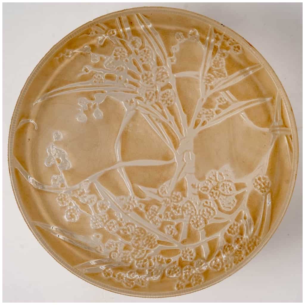 1920 René Lalique – Boîte Un Jardin Dans La Nuit Verre Blanc Patiné Sépia Pour Arys 4