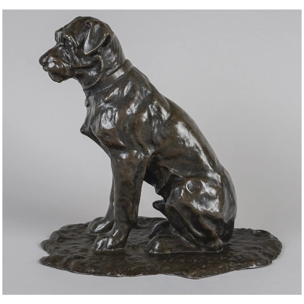 Sculpture – Chien Assis , Jacques Nam (1881-1974) – Bronze 6