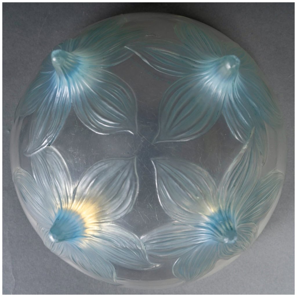 1924 René Lalique – Coupe Lys Verre Opalescent Patiné Bleu 7