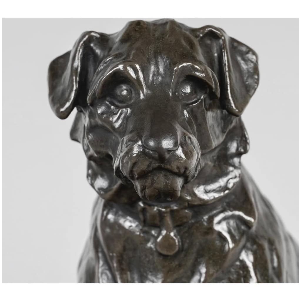 Sculpture – Chien Assis , Jacques Nam (1881-1974) – Bronze 5