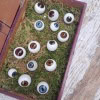 Collection de 14 yeux en sulfure 12