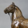 Sculpture – Cheval Percheron , René Maxime Choquet (1872-1958) – Bronze 13