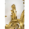 Paire d’appliques en bronze de style Louis XV. XIXème siècle 8