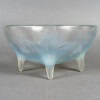 1924 René Lalique – Coupe Lys Verre Opalescent Patiné Bleu 13