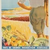 Affiche Originale, Henri Dormoy, L’Algérie, 1830, 1930, Colonisation, Centenaire, Pays, Production Agricole, Agriculture, Agriculteur, Arabe, Champ, Blé, Raisin, Tomate, Orange, Citron, Olive, Tourisme, Afrique du Nord, Maghreb, 1930 11